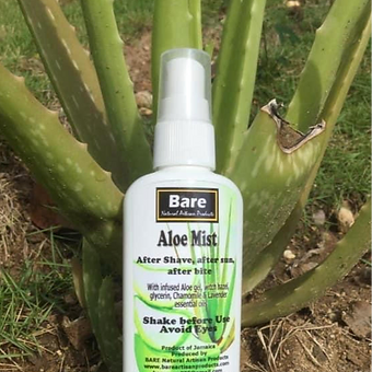 Bare Aloe Mist