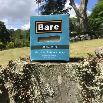 Bare Neem Mint Soap