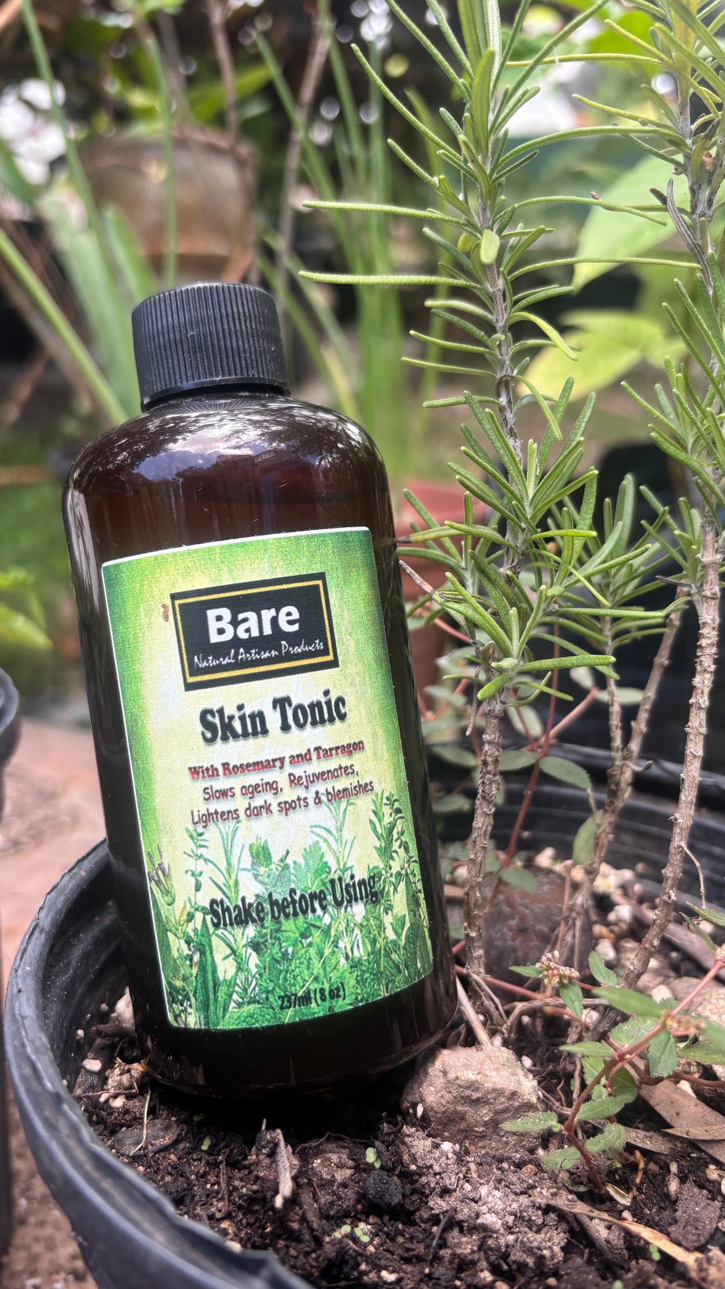 Bare Rosemary Tarragon Skin Tonic